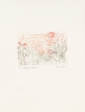 Artist: b'MEYER, Bill' | Title: b'Protect the remnant' | Date: 1992 | Technique: b'etching, printed in colour a la poup\xc3\xa9e, from one plate' | Copyright: b'\xc2\xa9 Bill Meyer'