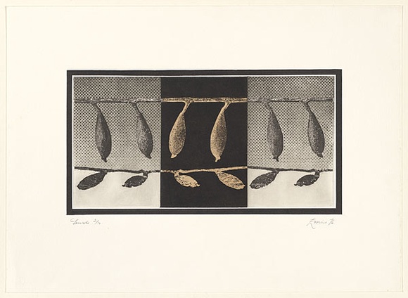 Artist: b'EWINS, Rod' | Title: b'Gourds.' | Date: 1976 January | Technique: b'photo-etching'