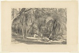 Artist: PROUT, John Skinner | Title: Fern Tree Valley, Mount Wellington. | Date: 1844 | Technique: lithograph, printed in colour, from two stones