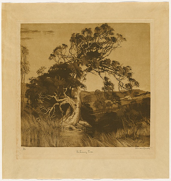 Artist: b'van RAALTE, Henri' | Title: b'The leaning tree' | Date: c.1927 | Technique: b'aquatint, printed in brown ink, from one plate' Artist: b'van RAALTE, Henri' | Title: b'The leaning tree' | Date: c.1927 | Technique: b'aquatint, printed in brown ink, from one plate'