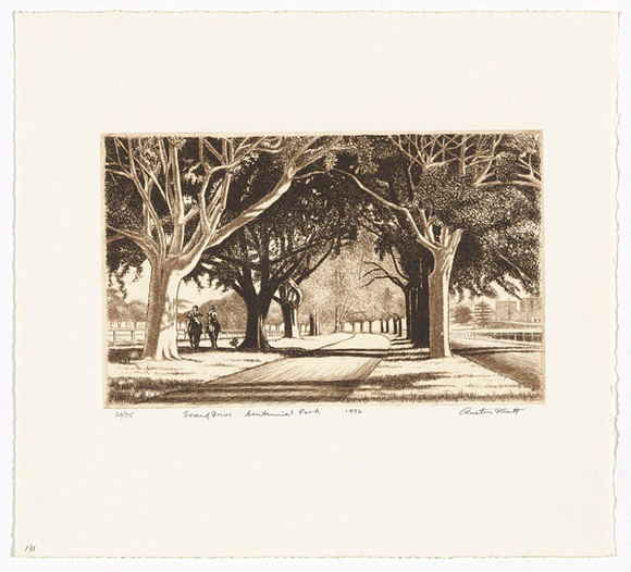 Artist: b'PLATT, Austin' | Title: b'Grand drive, Centennial Park' | Date: 1982 | Technique: b'etching, printed in black ink, from one plate' Artist: b'PLATT, Austin' | Title: b'Grand drive, Centennial Park' | Date: 1982 | Technique: b'etching, printed in black ink, from one plate'