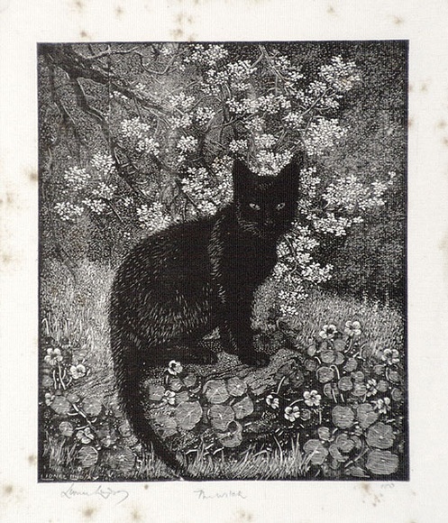Artist: b'LINDSAY, Lionel' | Title: b'The witch' | Date: 1924 | Technique: b'wood-engraving, printed in black ink, from one block' | Copyright: b'Courtesy of the National Library of Australia' Artist: b'LINDSAY, Lionel' | Title: b'The witch' | Date: 1924 | Technique: b'wood-engraving, printed in black ink, from one block' | Copyright: b'Courtesy of the National Library of Australia'