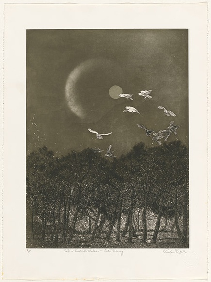 Artist: b'GRIFFITH, Pamela' | Title: b'Sulphur crested cockatoos, late evening' | Date: 1982 | Technique: b'etching, aquatint, burnishing, splatter printed in black ink, from one zinc plate' | Copyright: b'\xc2\xa9 Pamela Griffith' Artist: b'GRIFFITH, Pamela' | Title: b'Sulphur crested cockatoos, late evening' | Date: 1982 | Technique: b'etching, aquatint, burnishing, splatter printed in black ink, from one zinc plate' | Copyright: b'\xc2\xa9 Pamela Griffith'
