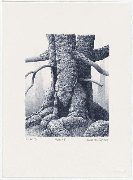 Artist: b'Russell,, Deborah.' | Title: b'Forest II' | Date: 2000, May | Technique: b'lithograph, printed in blue ink from one stone' Artist: b'Russell,, Deborah.' | Title: b'Forest II' | Date: 2000, May | Technique: b'lithograph, printed in blue ink from one stone'