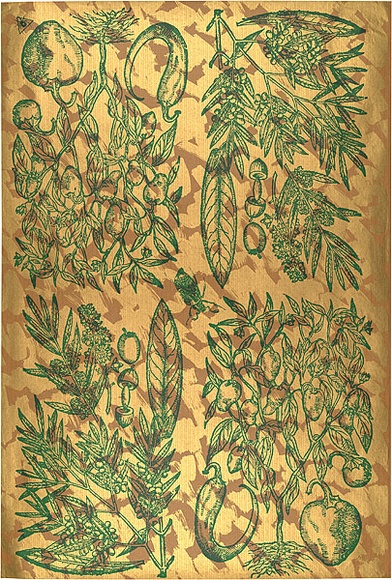 Artist: b'REDBACK GRAPHIX' | Title: b'Wrapping paper: Gold' | Date: 1986 | Technique: b'screenprint, printed in colour, from three stencils' Artist: b'REDBACK GRAPHIX' | Title: b'Wrapping paper: Gold' | Date: 1986 | Technique: b'screenprint, printed in colour, from three stencils'