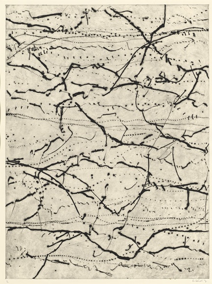 Artist: WESTCOTT, Kim | Title: Branching. | Date: 1996 | Technique: drypoint, printed in black ink, from one plate | Copyright: © Kim Westcott.