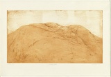 Artist: b'Mortensen, Kevin.' | Title: b'Australian Back' | Technique: b'etching, printed in colour, from two copper plates' | Copyright: b'\xc2\xa9 Kevin Mortensen'