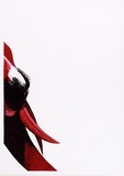 Artist: Newmarch, Ann. | Title: Malu Karu (Sturt Desert Pea) | Date: 1980 | Technique: screenprint, printed in colour, from multiple stencils