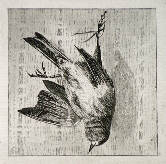 Artist: b'SIDMAN, William' | Title: b'The dead sparrow' | Date: 1890s | Technique: b'etching, printed in black ink with plate-tone, from one copper plate' Artist: b'SIDMAN, William' | Title: b'The dead sparrow' | Date: 1890s | Technique: b'etching, printed in black ink with plate-tone, from one copper plate'