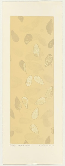 Artist: b'Schawel, Melinda.' | Title: b'Suspended light' | Date: 2000 | Technique: b'etching, printed in colour, from multiple plates' Artist: b'Schawel, Melinda.' | Title: b'Suspended light' | Date: 2000 | Technique: b'etching, printed in colour, from multiple plates'