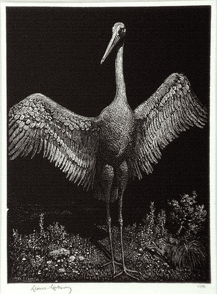 Artist: b'LINDSAY, Lionel' | Title: b'The dancer' | Date: 1924 | Technique: b'wood-engraving, printed in black ink, from one block' | Copyright: b'Courtesy of the National Library of Australia' Artist: b'LINDSAY, Lionel' | Title: b'The dancer' | Date: 1924 | Technique: b'wood-engraving, printed in black ink, from one block' | Copyright: b'Courtesy of the National Library of Australia'