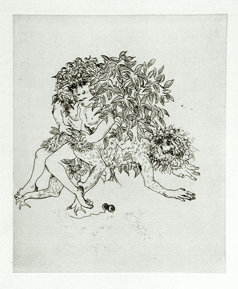 Artist: b'BOYD, Arthur' | Title: b'Story of a ruined man.' | Date: c.1970 | Technique: b'etching, printed in black ink, from one plate' | Copyright: b'Reproduced with permission of Bundanon Trust' Artist: b'BOYD, Arthur' | Title: b'Story of a ruined man.' | Date: c.1970 | Technique: b'etching, printed in black ink, from one plate' | Copyright: b'Reproduced with permission of Bundanon Trust'