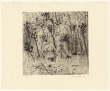 Artist: WALKER, Murray | Title: Goat and Trees | Date: 1964 | Technique: etching, printed in black ink, from one plate