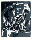Artist: b'Brash, Barbara.' | Title: b'White backed magpie.' | Date: 1965 | Technique: b'screenprint, printed in colour, from four stencils'