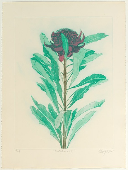 Artist: b'GRIFFITH, Pamela' | Title: b'Australiana II' | Date: 1979 | Technique: b'soft ground, aquatint and stencilled colour roll printed in colour from one zinc plate' | Copyright: b'\xc2\xa9 Pamela Griffith' Artist: b'GRIFFITH, Pamela' | Title: b'Australiana II' | Date: 1979 | Technique: b'soft ground, aquatint and stencilled colour roll printed in colour from one zinc plate' | Copyright: b'\xc2\xa9 Pamela Griffith'