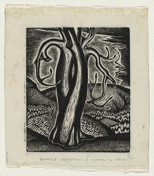 Artist: b'Rosenstengel, Paula.' | Title: b'Horse chestnut, Capel-y-ffin' | Date: c.1940 | Technique: b'wood-engraving, printed in black ink, from one block' Artist: b'Rosenstengel, Paula.' | Title: b'Horse chestnut, Capel-y-ffin' | Date: c.1940 | Technique: b'wood-engraving, printed in black ink, from one block'