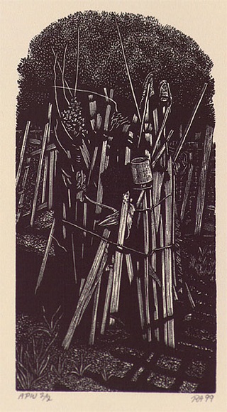 Artist: b'Atkins, Ros.' | Title: b'Fitzroy Community Garden' | Date: 1999, January | Technique: b'wood engraving, printed in black ink, from one block' Artist: b'Atkins, Ros.' | Title: b'Fitzroy Community Garden' | Date: 1999, January | Technique: b'wood engraving, printed in black ink, from one block'