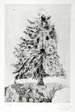 Artist: COLEING, Tony | Title: Bunyah pine meets lilo man. | Date: 1989-90 | Technique: etching, printed in black ink, from one plate