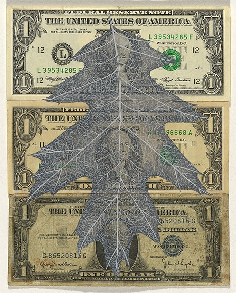 Artist: b'HALL, Fiona' | Title: b'Quercus palustris - Pin oak (American currency)' | Date: 2000 - 2002 | Technique: b'gouache' | Copyright: b'\xc2\xa9 Fiona Hall' Artist: b'HALL, Fiona' | Title: b'Quercus palustris - Pin oak (American currency)' | Date: 2000 - 2002 | Technique: b'gouache' | Copyright: b'\xc2\xa9 Fiona Hall'