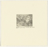 Artist: Robinson, William. | Title: Springbrook 1 | Date: 1999 | Technique: etching, printed in brown ink, from one plate