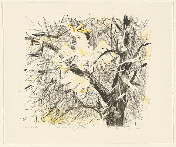 Artist: b'MACQUEEN, Mary' | Title: b'Cockatoo' | Date: 1982 | Technique: b'lithograph, printed in colour, from multiple plates' | Copyright: b'Courtesy Paulette Calhoun, for the estate of Mary Macqueen' Artist: b'MACQUEEN, Mary' | Title: b'Cockatoo' | Date: 1982 | Technique: b'lithograph, printed in colour, from multiple plates' | Copyright: b'Courtesy Paulette Calhoun, for the estate of Mary Macqueen'