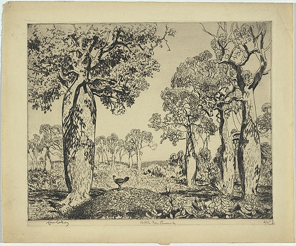 Artist: b'LINDSAY, Lionel' | Title: b'Bottle trees, Cracow, Queensland' | Date: 1932 | Technique: b'etching, printed in warm black ink, from one plate' | Copyright: b'Courtesy of the National Library of Australia' Artist: b'LINDSAY, Lionel' | Title: b'Bottle trees, Cracow, Queensland' | Date: 1932 | Technique: b'etching, printed in warm black ink, from one plate' | Copyright: b'Courtesy of the National Library of Australia'