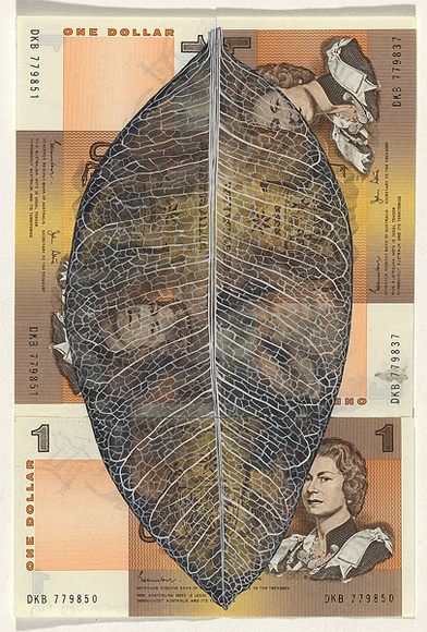 Artist: b'HALL, Fiona' | Title: b'Ficus macrophylla - Moreton Bay fig (Australian currency)' | Date: 2000 - 2002 | Technique: b'gouache' | Copyright: b'\xc2\xa9 Fiona Hall' Artist: b'HALL, Fiona' | Title: b'Ficus macrophylla - Moreton Bay fig (Australian currency)' | Date: 2000 - 2002 | Technique: b'gouache' | Copyright: b'\xc2\xa9 Fiona Hall'