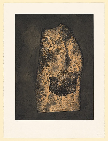 Artist: b'Norrie, Susan.' | Title: b'not titled' | Date: 1988 | Technique: b'etching, printed in colour, from multiple plates' Artist: b'Norrie, Susan.' | Title: b'not titled' | Date: 1988 | Technique: b'etching, printed in colour, from multiple plates'