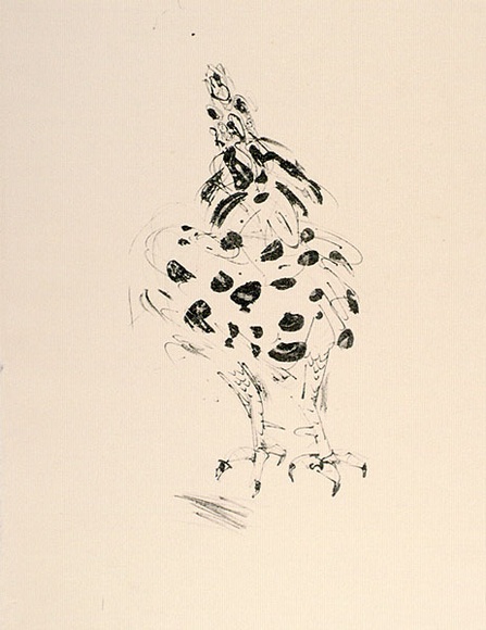 Artist: b'MACQUEEN, Mary' | Title: b'Small rooster' | Date: 1982 | Technique: b'lithograph, printed in black ink, from one plate' | Copyright: b'Courtesy Paulette Calhoun, for the estate of Mary Macqueen' Artist: b'MACQUEEN, Mary' | Title: b'Small rooster' | Date: 1982 | Technique: b'lithograph, printed in black ink, from one plate' | Copyright: b'Courtesy Paulette Calhoun, for the estate of Mary Macqueen'