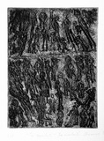 Artist: SHEARER, Mitzi | Title: To market - to market | Date: 1986-92 | Technique: etching, printed in black ink, from one  plate