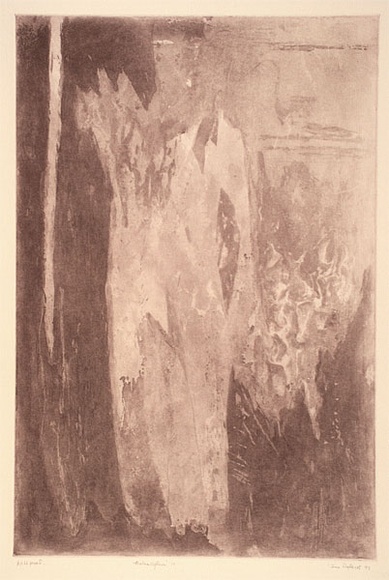 Artist: b'Defteros, June.' | Title: b'Metamorphism IV' | Date: 1993 | Technique: b'etching and aquatint, printed in brown ink, from one plate' Artist: b'Defteros, June.' | Title: b'Metamorphism IV' | Date: 1993 | Technique: b'etching and aquatint, printed in brown ink, from one plate'