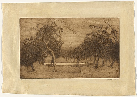 Artist: b'Traill, Jessie.' | Title: b'The waterhole' | Date: 1922 | Technique: b'etching, printed in brown ink with plate-tone and wiped highlights, from one plate' Artist: b'Traill, Jessie.' | Title: b'The waterhole' | Date: 1922 | Technique: b'etching, printed in brown ink with plate-tone and wiped highlights, from one plate'