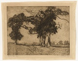 Artist: TRAILL, Jessie | Title: Friendly trees | Date: 1921 | Technique: etching, printed in warm black ink with plate-tone, from one plate