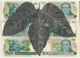 Artist: HALL, Fiona | Title: Passiflora edulis - Passionfruit (Brazilian currency) | Date: 2000 - 2002 | Technique: gouache | Copyright: © Fiona Hall