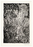 Artist: b'Shearer, Mitzi.' | Title: b'The Gian and the little boo-boos.' | Date: 1991 | Technique: b'etching and aquatint'