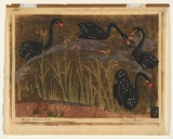 Artist: Black, Dorrit. | Title: Black swans. | Date: 1937 | Technique: linocut, printed in colour, from five blocks (red, pink, green, blue-grey and black)