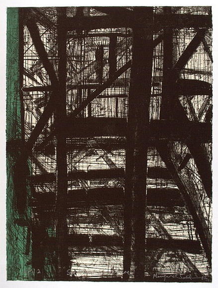 Artist: b'Sulikowski, Margaret.' | Title: b'Skeleton structure' | Date: 1992, June | Technique: b'etching, printed in black ink, from one plate; hand-coloured' Artist: b'Sulikowski, Margaret.' | Title: b'Skeleton structure' | Date: 1992, June | Technique: b'etching, printed in black ink, from one plate; hand-coloured'