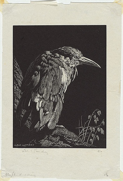 Artist: b'LINDSAY, Lionel' | Title: b'The clipped wing' | Date: 1931 | Technique: b'wood-engraving, printed in black ink, from one block' | Copyright: b'Courtesy of the National Library of Australia' Artist: b'LINDSAY, Lionel' | Title: b'The clipped wing' | Date: 1931 | Technique: b'wood-engraving, printed in black ink, from one block' | Copyright: b'Courtesy of the National Library of Australia'