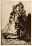 Artist: b'Long, Sydney.' | Title: b'Pastoral softground' | Date: 1918 | Technique: b'softground-etching, printed in warm black ink, from one zinc plate' | Copyright: b'Reproduced with the kind permission of the Ophthalmic Research Institute of Australia'
