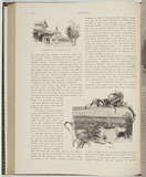 Artist: Ashton, Julian. | Title: Kempsey | Date: 1886 | Technique: woodengraving, printed in black ink, from one block