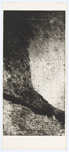 Artist: b'ARNOLD, Raymond' | Title: b'Imaginary landscape - eighteen months in Tasmania.' | Date: 1984 | Technique: b'etching and aquatint, printed in black ink, from one plate' Artist: b'ARNOLD, Raymond' | Title: b'Imaginary landscape - eighteen months in Tasmania.' | Date: 1984 | Technique: b'etching and aquatint, printed in black ink, from one plate'