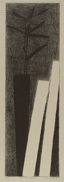 Artist: Lincoln, Kevin. | Title: Flowers and books | Date: 1995, November | Technique: lithograph, printed in black ink, from one stone