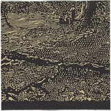 Artist: Bryant, Darren | Title: Travellers' tales. | Date: 1998 | Technique: linocut, printed in colour ink, with blind embossing, from seven plates