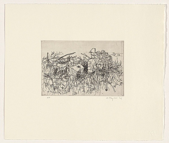 Artist: b'Taylor, Michael.' | Title: b'not titled [5]' | Date: 2006 | Technique: b'etching, printed in black ink, from one zinc plate' | Copyright: b'\xc2\xa9 Michael Taylor'