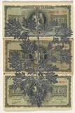 Artist: HALL, Fiona | Title: Artemisia absinthium - Absinth (Greek currency) | Date: 2000 - 2002 | Technique: gouache | Copyright: © Fiona Hall