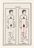 Artist: Russell, Belinda. | Title: Men 'do' have external genitals. | Date: 1992 | Technique: lithograph, printed in colour, from three stones