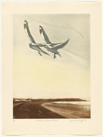 Artist: b'GRIFFITH, Pamela' | Title: b'Gulls Over Bondi Beach' | Date: 1987 | Technique: b'hardground-etching, aquatint and burnishing, printed in colour, from one zinc plate' | Copyright: b'\xc2\xa9 Pamela Griffith'