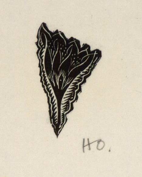 Artist: b'OGILVIE, Helen' | Title: b'(stylized flower)' | Date: 1950 | Technique: b'wood-engraving, printed in black ink, from one block' Artist: b'OGILVIE, Helen' | Title: b'(stylized flower)' | Date: 1950 | Technique: b'wood-engraving, printed in black ink, from one block'
