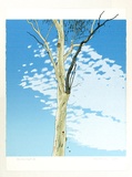 Artist: b'Rose, David.' | Title: b'Eucalypt III' | Date: 1975 | Technique: b'screenprint, printed in colour, from multiple stencils'