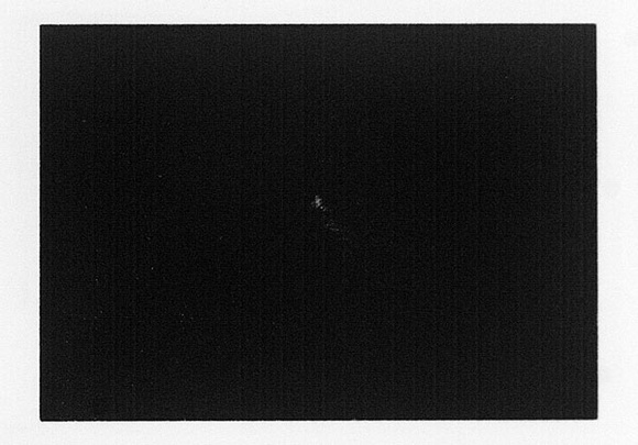 Artist: b'Juberlin, Narelle.' | Title: b'Old love' | Date: 1991 | Technique: b'lithograph, printed in black ink, from one stone [or plate]'